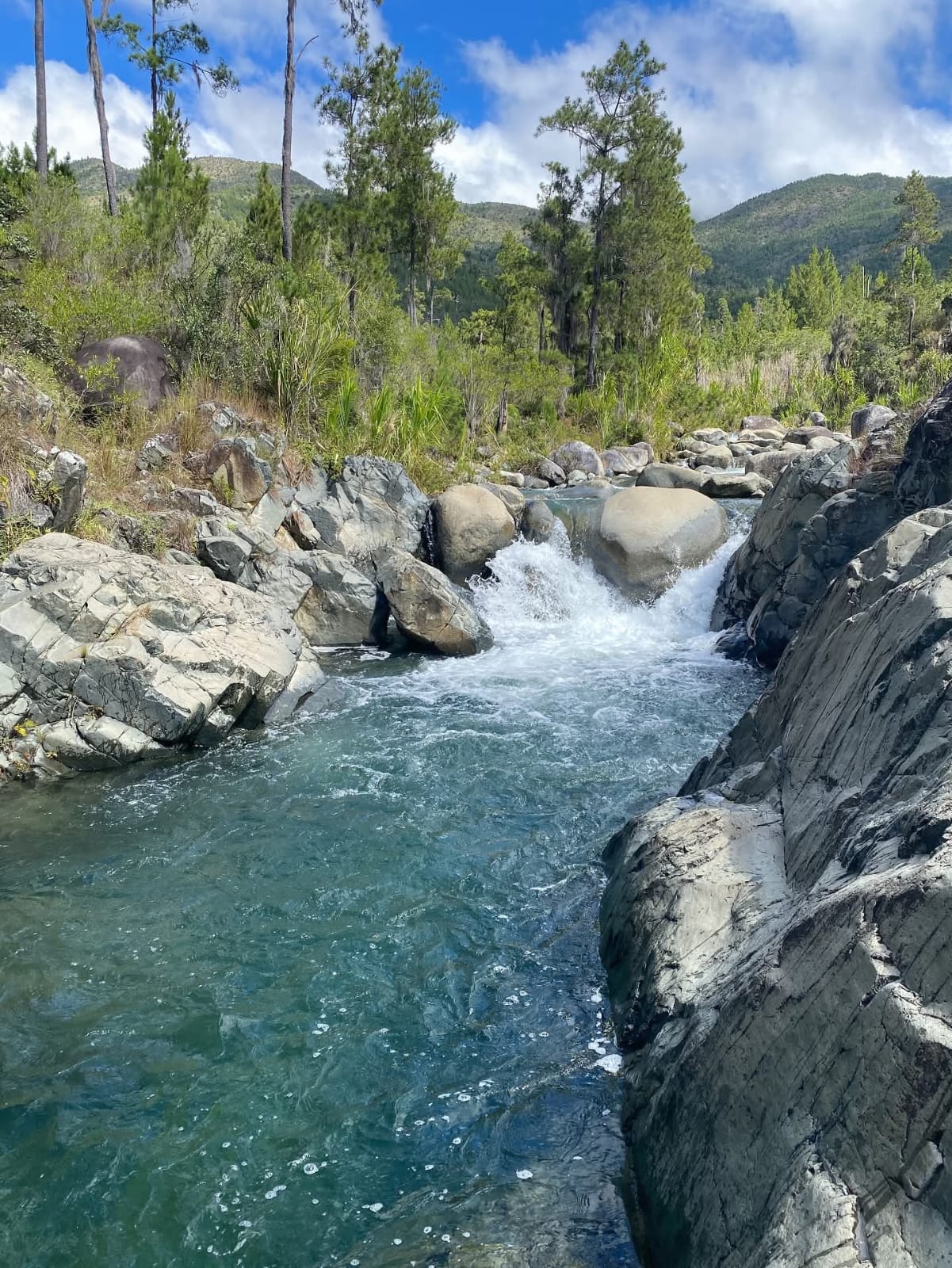 IMG-20260917-WA0008